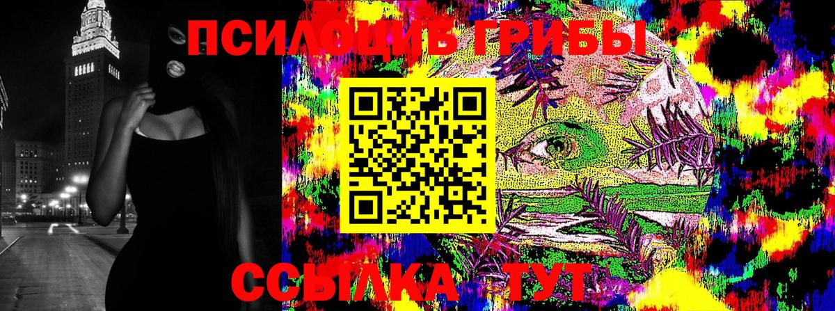 Галлюциногенные грибы GOLDEN TEACHER Димитровград