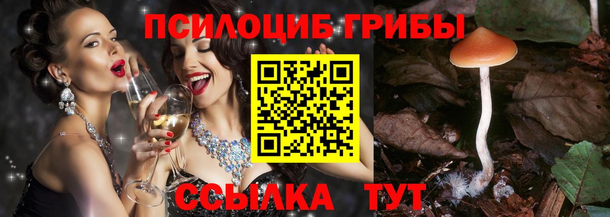 магазин    Галлюциногенные грибы ЛСД  Вход с VPN  Псилоцибиновые грибы MAGIC MUSHROOMS  Димитровград 