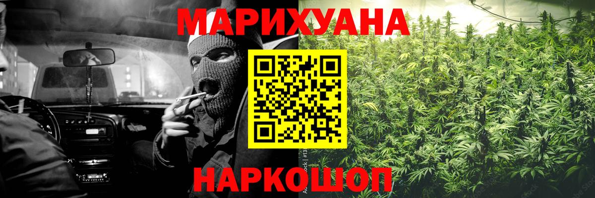 Канабис планчик Димитровград